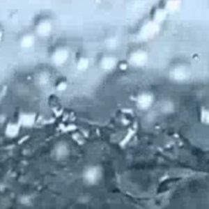 Meet your Posher, Pat